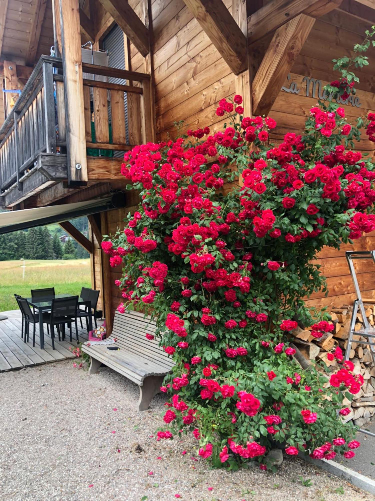 Chalet La Merlerie Morzine Exteriör bild